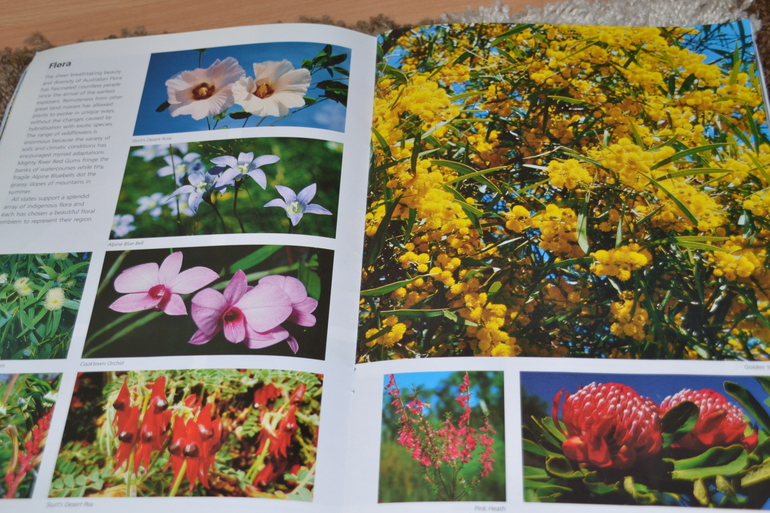 ТН Австралия