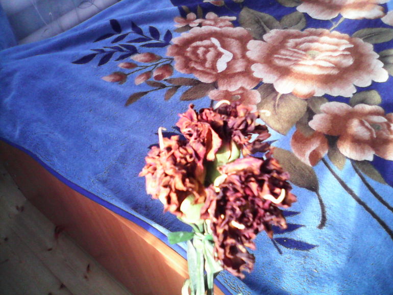 Гвоздика из букета