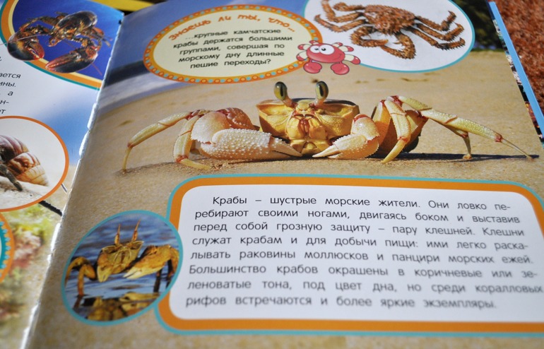 Наши любимые книги