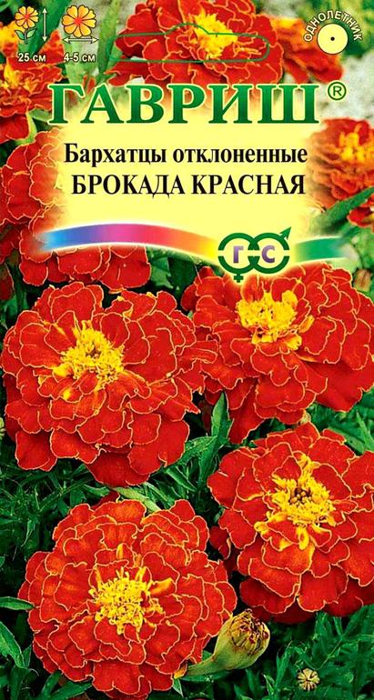 Огород 2014. Посев.