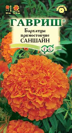 Огород 2014. Посев.