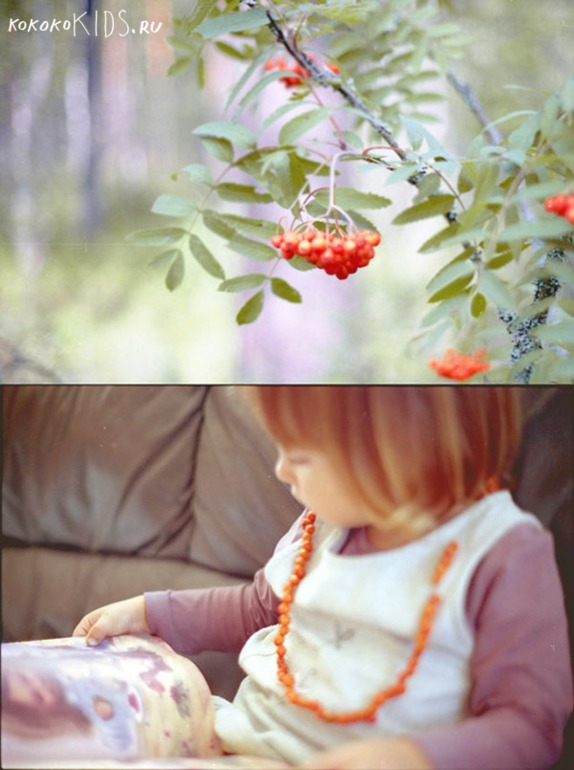 Поделки из природных материалов