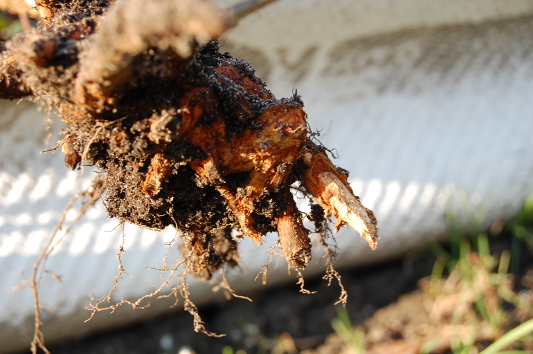 Весна пришла с сюрпризами.