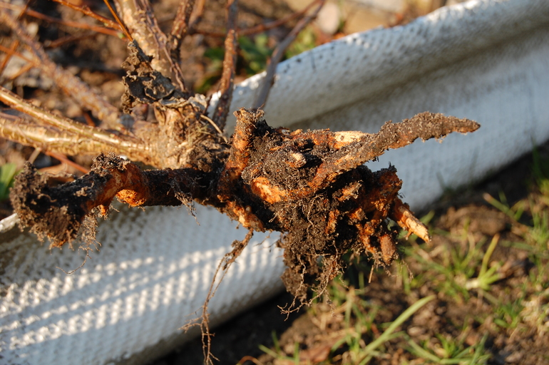 Весна пришла с сюрпризами.