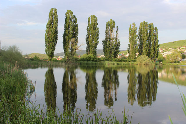 Мой любимый Крым!!!!