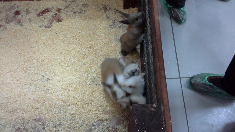 Про Любин ДР