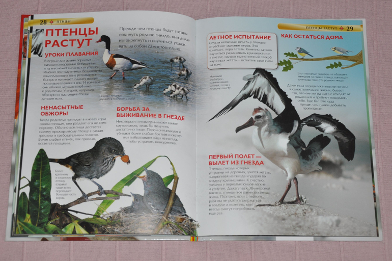 Весенние книги и произведения, 2 - 3 года