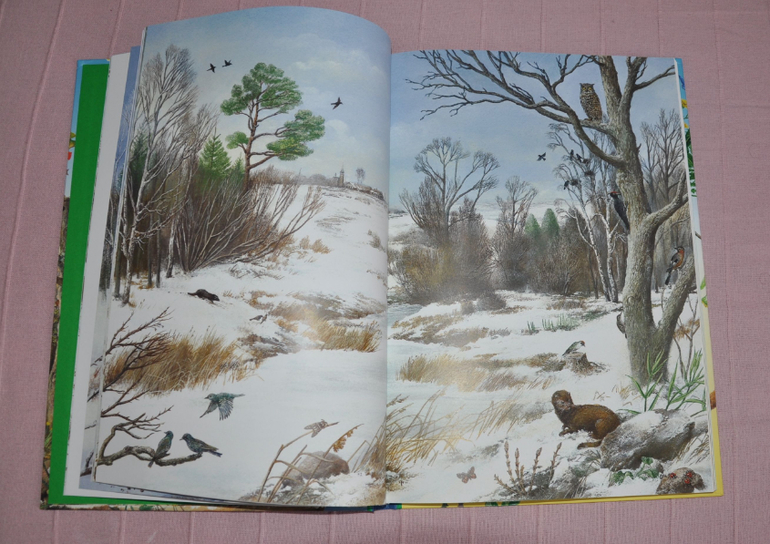 Весенние книги и произведения, 2 - 3 года