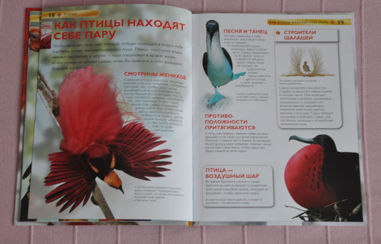 Весенние книги и произведения, 2 - 3 года