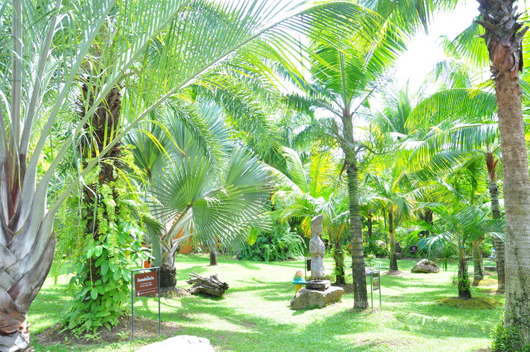 Phuket Botanic Garden