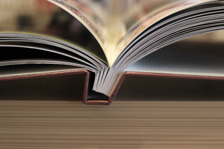 Готовый проект 365-2013