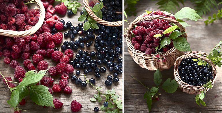 Какие ягоды вы любите?