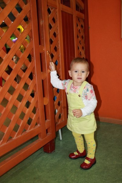 Наши фото дни