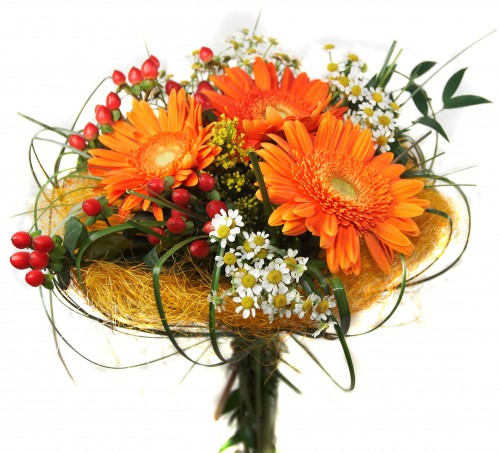 ЭКО-семья ГОДА!!! Победители конкурса!!!!