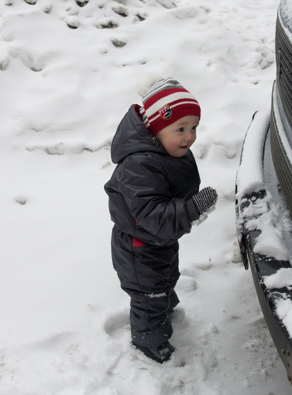 Сегодня на прогулке