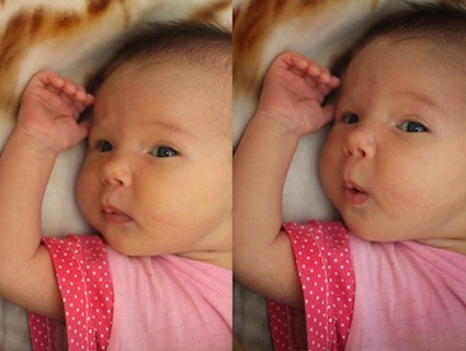 Наша моська