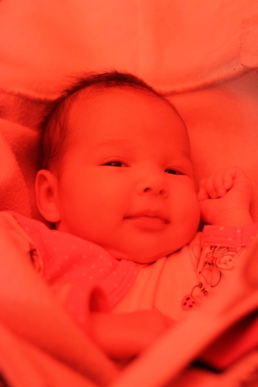 Наша моська