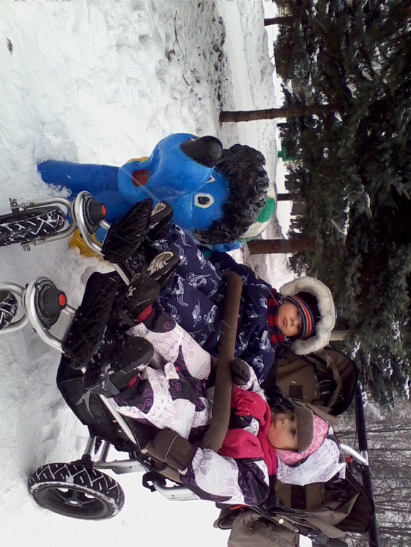 наши зимние прогулки-ежедневные