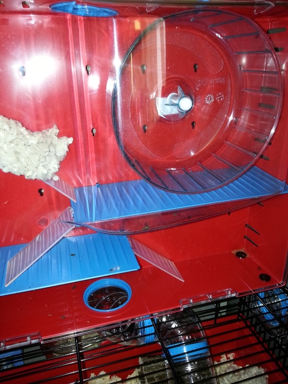 Большая клетка для Вашего хомячка