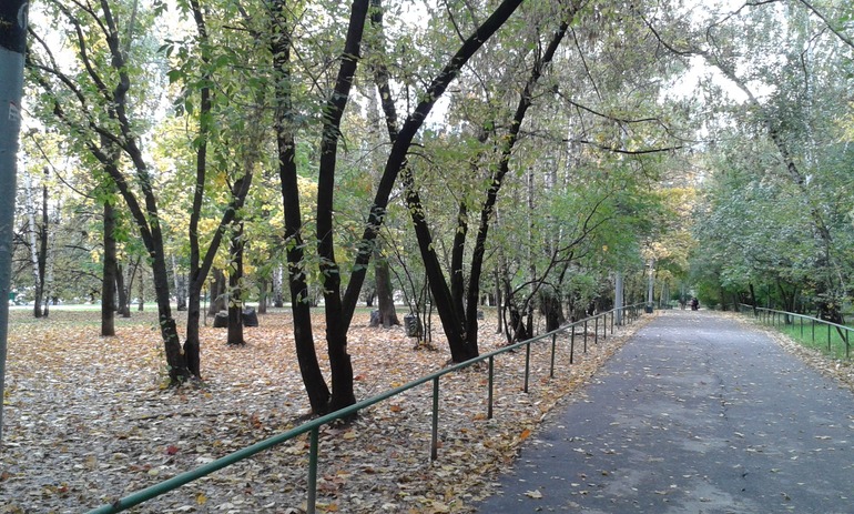 Уже не намек, а целый зуб прорезался