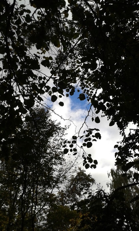 Уже не намек, а целый зуб прорезался