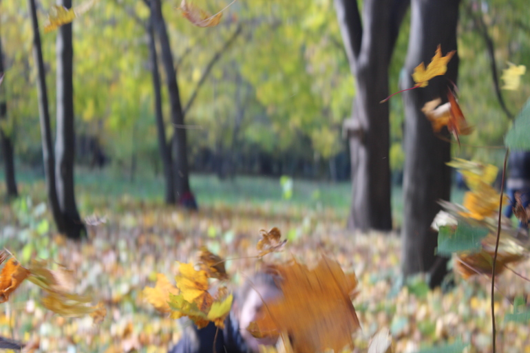 Сладкому Пончику девять!