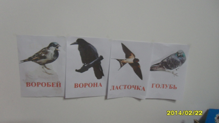 Две вороны воробей