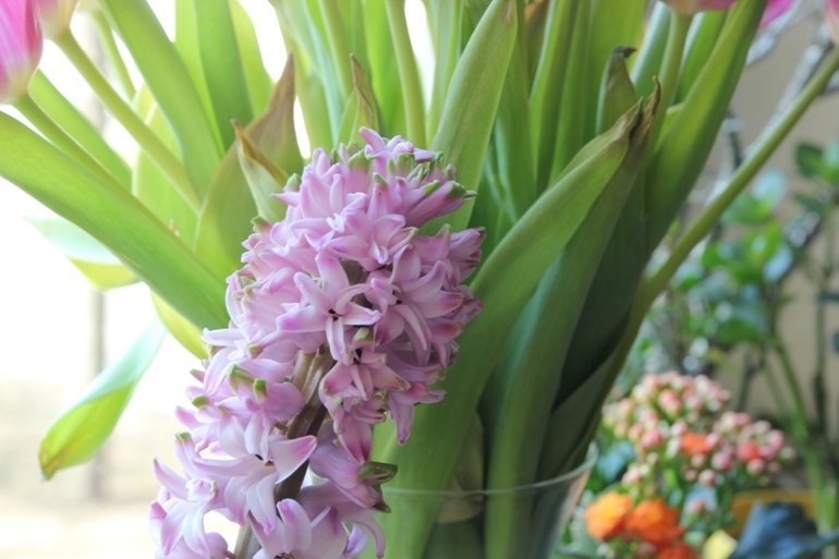 Вот и прошла весна... Наша ВЕСНА 2014