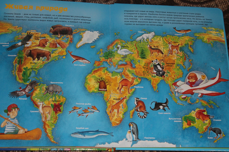 Просто восторг