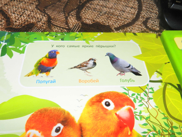 Спешу похвастаться)