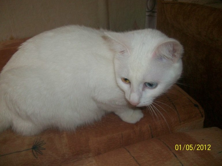 Моя история))) бывает и такое)