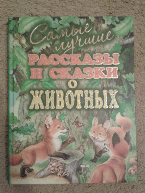 Книжечки Давида!