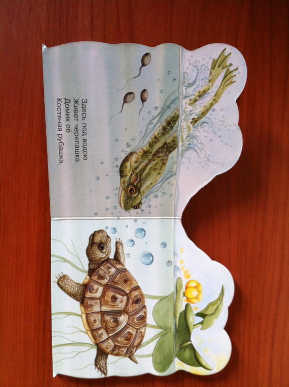 про животных малышам