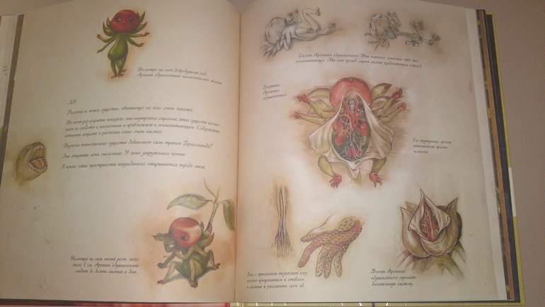 Книжное пополнение февраля