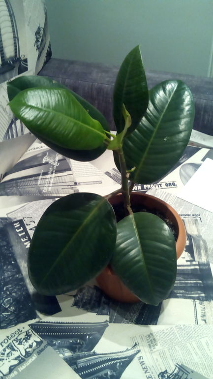 Мои подарочки из марафона))))