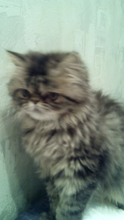 Новая бяка!