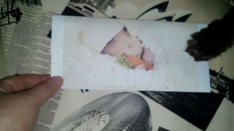 Приятные мелочи! Благодарность и вопросы)