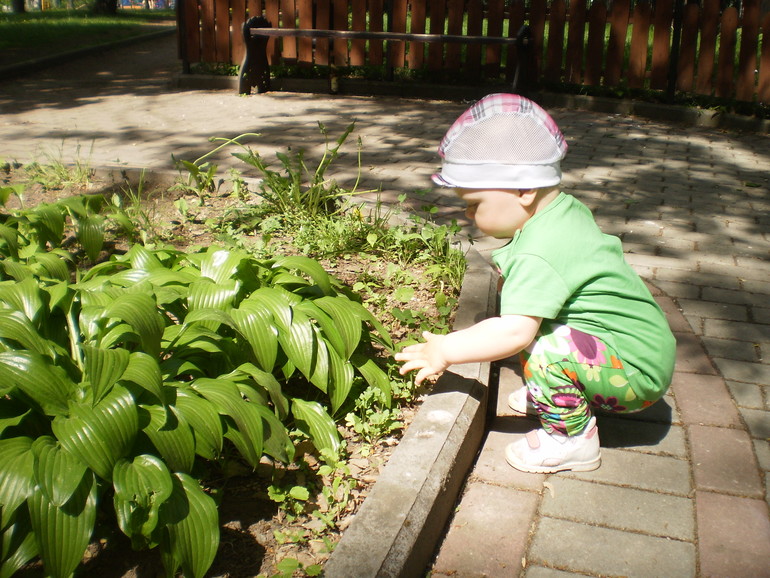 Прогулочные фото