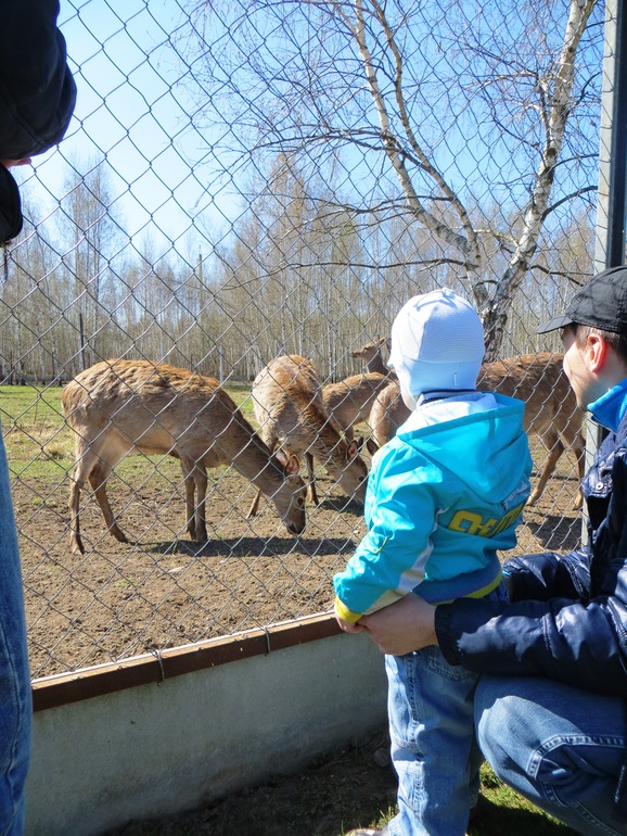 Поездка в частный зоопарк в г. Раменское