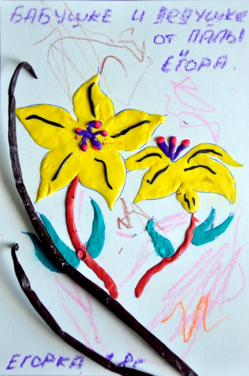 В рамках проекта