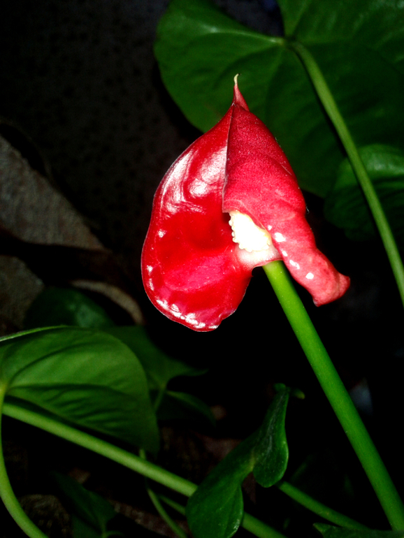 Что-то не так...