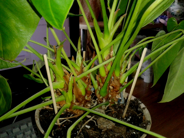 Что-то не так...