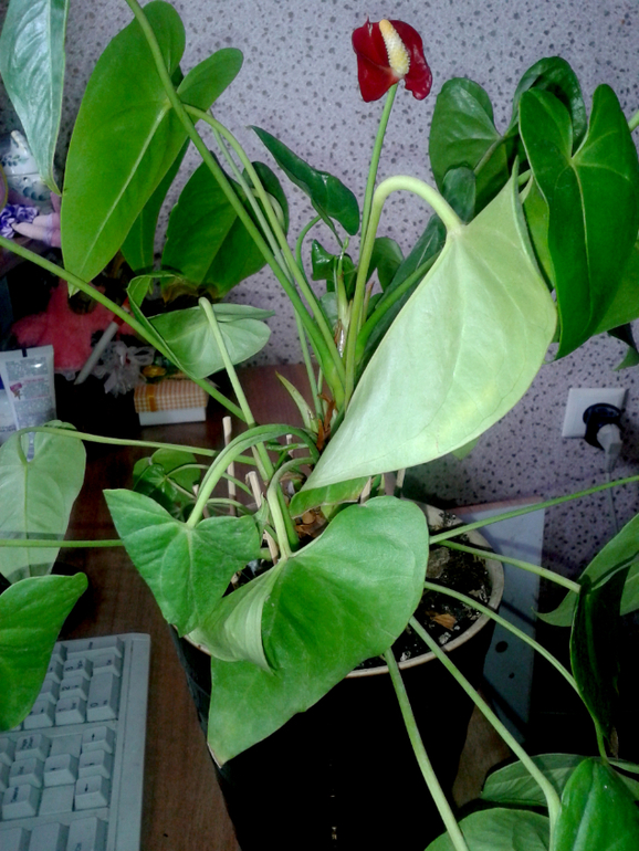 Что-то не так...