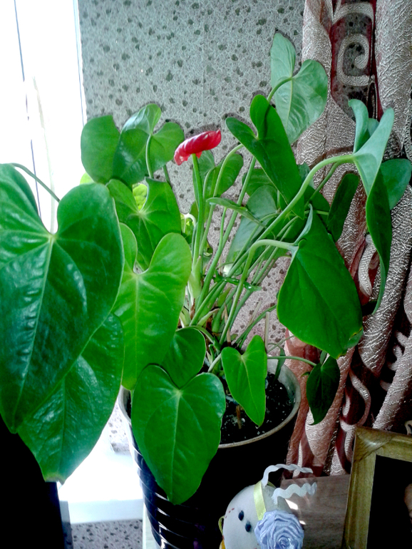 Что-то не так...