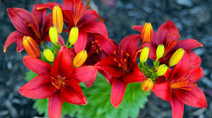 8a83f7f1d51cec3cfb83cbcf4fe19c4f.jpg