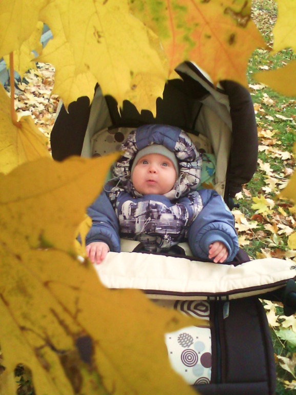 Фотки с телефона и немного осени