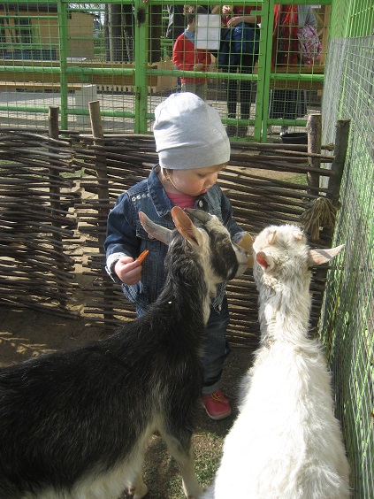 Национальный Конный Парк «РУСЬ»