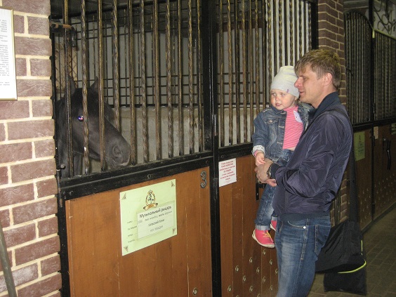 Национальный Конный Парк «РУСЬ»