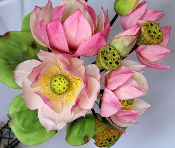 Курсы п сахарной флористики 1-4 мая