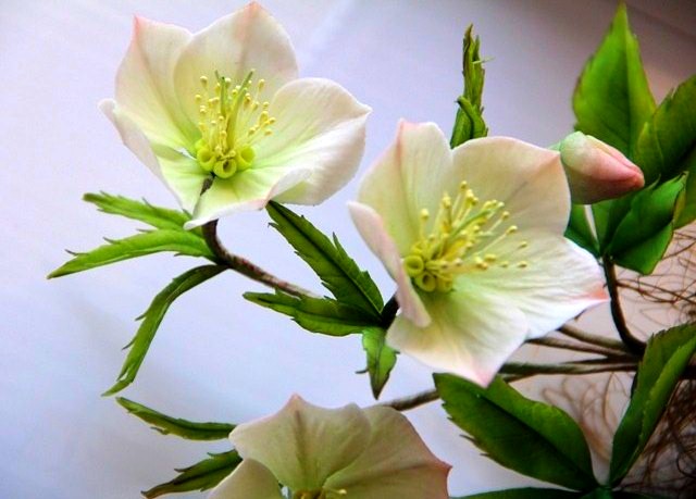 Курсы п сахарной флористики 1-4 мая